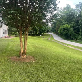 yard service by Father n Son git'er done Handyman and lawn service reviewed on August 19, 2025