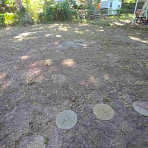 Leaf Removal by Field of Dreams Landscaping reviewed on November 4, 2025