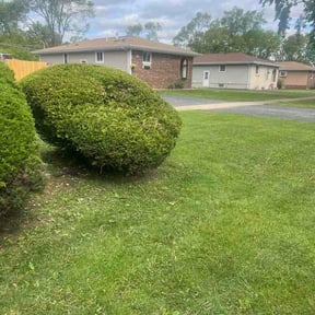 Bush Trimming by LawnCore reviewed on May 20, 2026