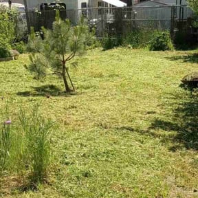 lawn care by Lake country mowing reviewed on April 24, 2024