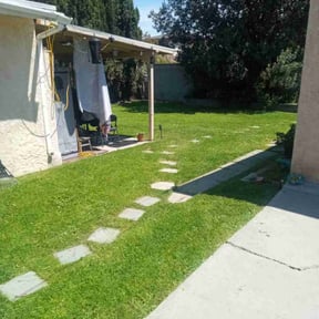 grass maintenance by Rc lawn care Service reviewed on August 18, 2025