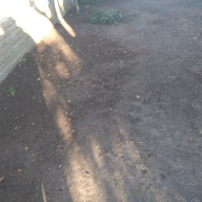 Leaf Removal by DnD mows reviewed on September 18, 2025