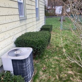 Bush Trimming by Ballard Professional Services reviewed on August 18, 2025