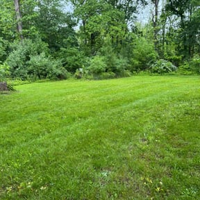 gardening service by It's Our Season Landscape Services reviewed on August 19, 2025