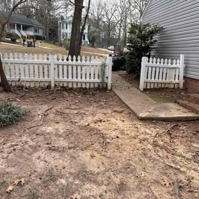 Leaf Removal by Creative Solutions reviewed on June 17, 2026