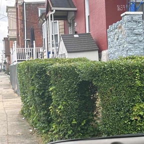 Bush Trimming by Chek&#039;Rd Lawn Service reviewed on August 15, 2025