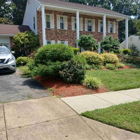 yard service by Turbo Lawn Care reviewed on August 16, 2025