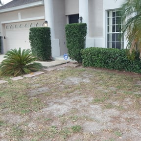 Bush Trimming by Benjamin Lawn Solutions reviewed on August 19, 2025
