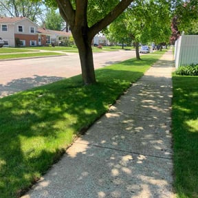 landscape maintenance by Integrity landscaping reviewed on August 19, 2025
