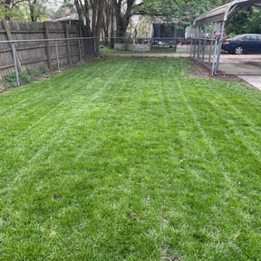 yard work by Lawn King reviewed on January 6, 2026