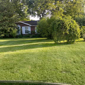 residential landscaping by Grota Get It Done reviewed on August 18, 2025