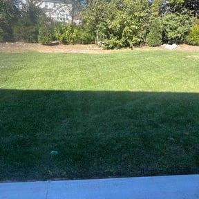 landscaping by Mabin Lawn Service reviewed on November 20, 2025