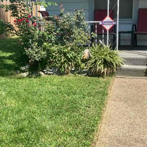Bush Trimming by Ochoa Landscape and Irrigaton LLC reviewed on August 21, 2025