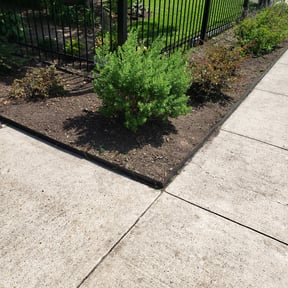 Flower Bed Weeding by JA All purpose property management reviewed on August 19, 2025