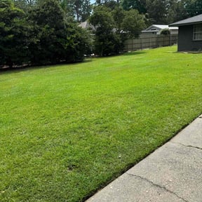 lawn care services by Rickys lawn care  reviewed on August 21, 2025