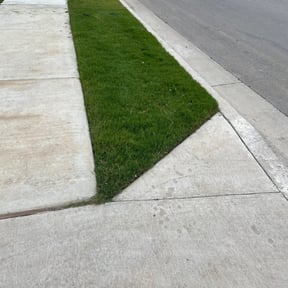 lawn maintenance by Var Landscape reviewed on December 22, 2022