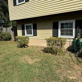 Bush Trimming by Shawn’s mowing reviewed on October 18, 2025