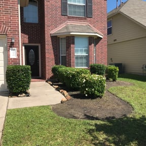 Bush Trimming by Pioneer Lawn Care reviewed on August 18, 2025