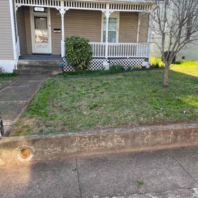 turf care by Mr Lawn Service reviewed on November 5, 2023