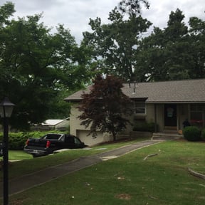 Bush Trimming by The guy property maintenance reviewed on August 19, 2025