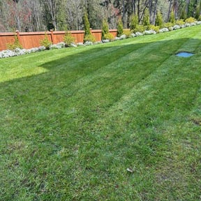 landscaping by Pro Cut Lawns LLC reviewed on November 24, 2025