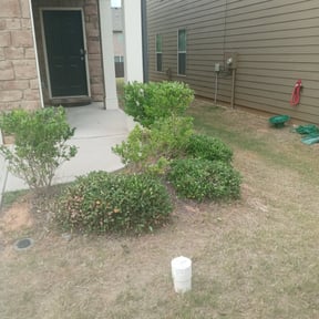 Bush Trimming by Wild Bunch Edible Landscapes and Agricultural Solutions reviewed on August 20, 2025