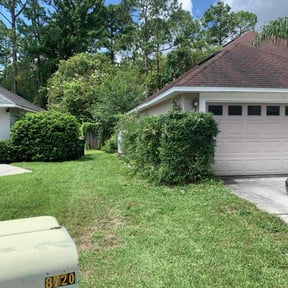 Bush Trimming by 3D GARDEN DESIGN and lawn care reviewed on November 22, 2025