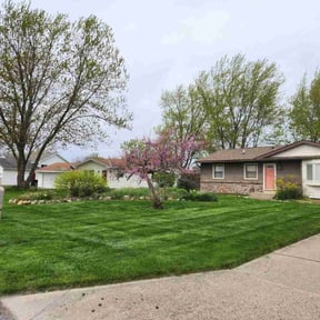 turf care by Sunnyside Lawn care reviewed on April 17, 2024
