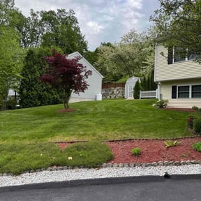 gardening service by Knowledge As A Service Company reviewed on August 20, 2025