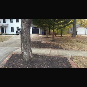Leaf Removal by Hugheslandscaping reviewed on November 6, 2025