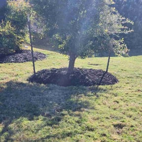 Mulching by Golden Lion&#039;s reviewed on October 21, 2025