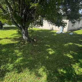 yard maintenance by Kelly Lawn Care reviewed on August 17, 2025