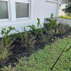 Flower Bed Weeding by Y&amp;R reviewed on November 8, 2025