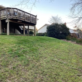 Leaf Removal by Way family lawn grooming reviewed on August 18, 2025