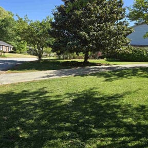 landscaping services by ESP Mowtivate Lawn Care reviewed on August 19, 2025