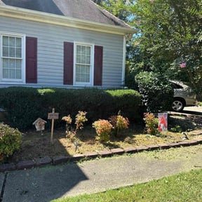 Bush Trimming by Var Landscape reviewed on August 20, 2025