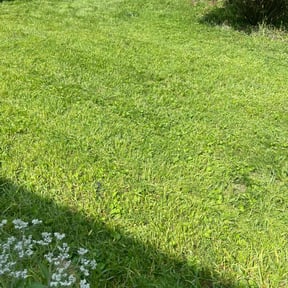 lawn care by JC Landscaping reviewed on September 22, 2023