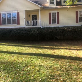 Bush Trimming by Garfield Lawn Care reviewed on May 11, 2024