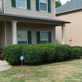 Bush Trimming by Cari lawn care reviewed on August 20, 2025