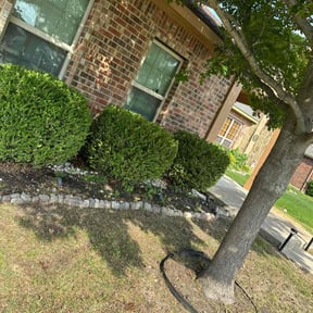 Bush Trimming by Natures Edge Outdoor Solutions reviewed on August 16, 2025