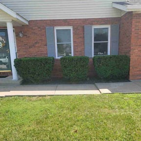 Bush Trimming by Curran Lawn Gurus reviewed on August 18, 2025