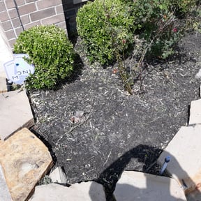 Flower Bed Weeding by A.C.T. Lawn Maintenance & Pressure Washing reviewed on August 19, 2025