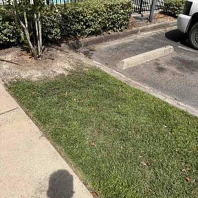 Leaf Removal by Pulling Strings Lawn &amp; Landscape, LLC reviewed on August 21, 2026