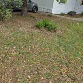 Bush Trimming by J&amp;K Lawn Care reviewed on April 4, 2026