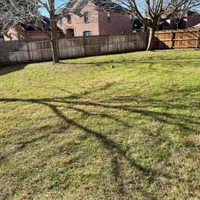 Cleanup by  reviewed on December 30, 2025