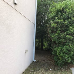 Bush Trimming by Rahman Services LLC reviewed on August 15, 2025