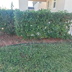 Flower Bed Weeding by Country Boy Mikey&#039;s Lawn Care reviewed on October 23, 2025