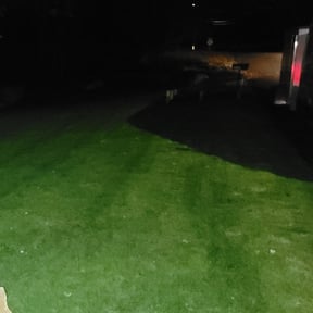 Leaf Removal by Ultimate Landscape Contractor reviewed on September 19, 2025