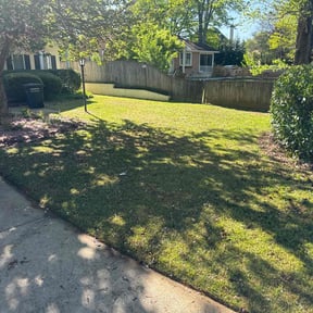 Bush Trimming by Compass Lawn Care reviewed on August 18, 2025