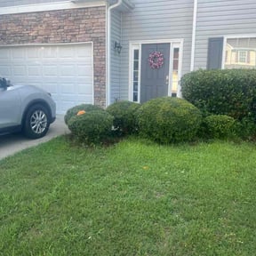 Bush Trimming by Mera Lawn Care reviewed on August 18, 2025